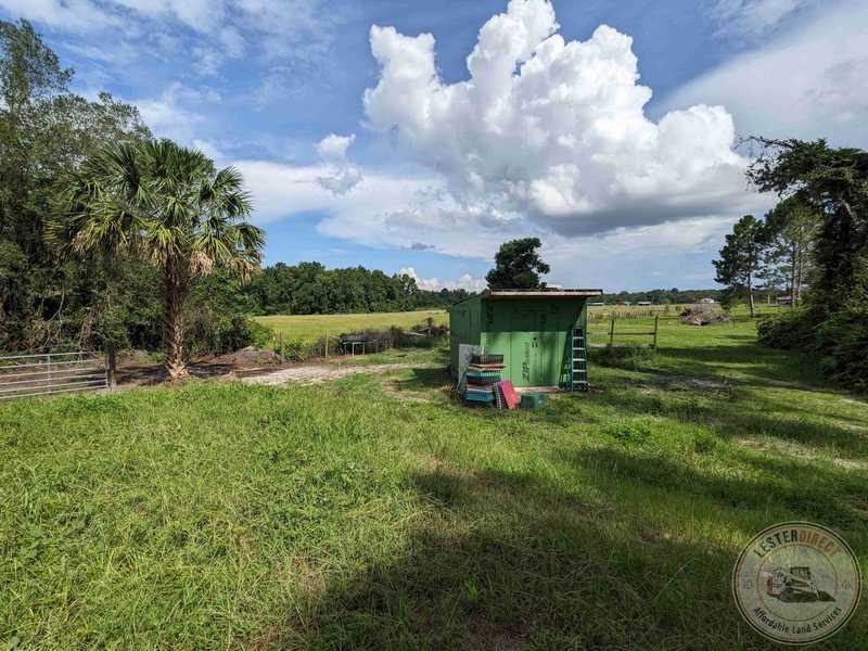 View from shed after clearing