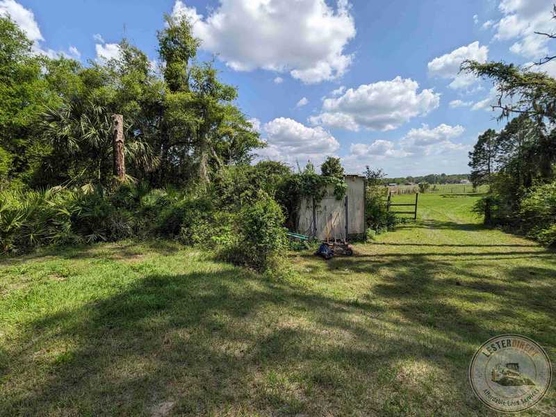 View from shed before clearing