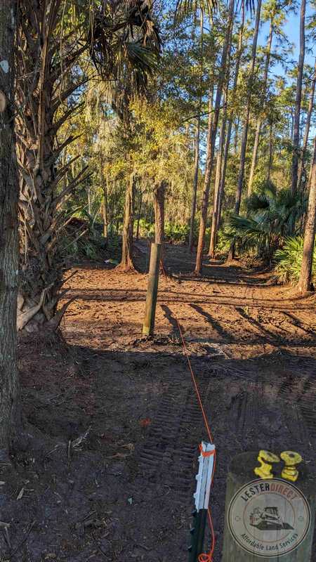 Back fence line after clearing