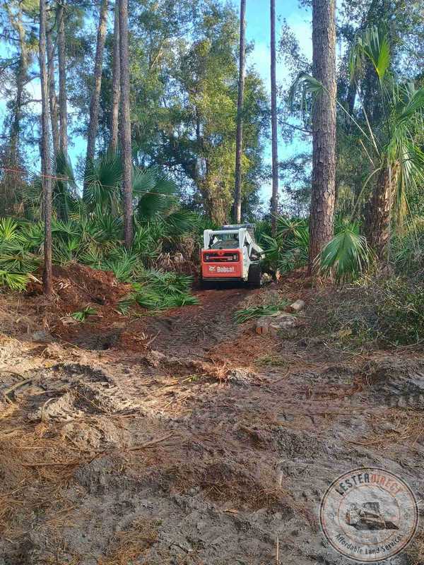 Machine clearing the property line