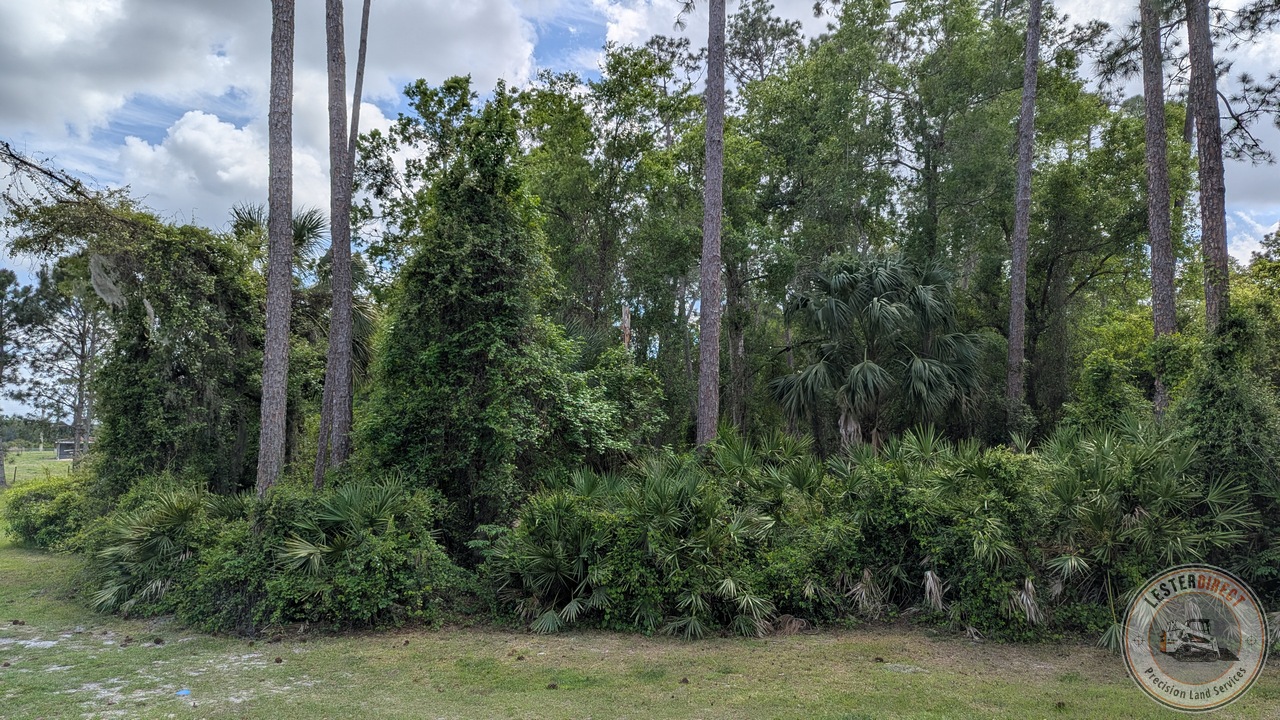 CS-01 Stage 1: Raw Site (Native Pasture Clearing)