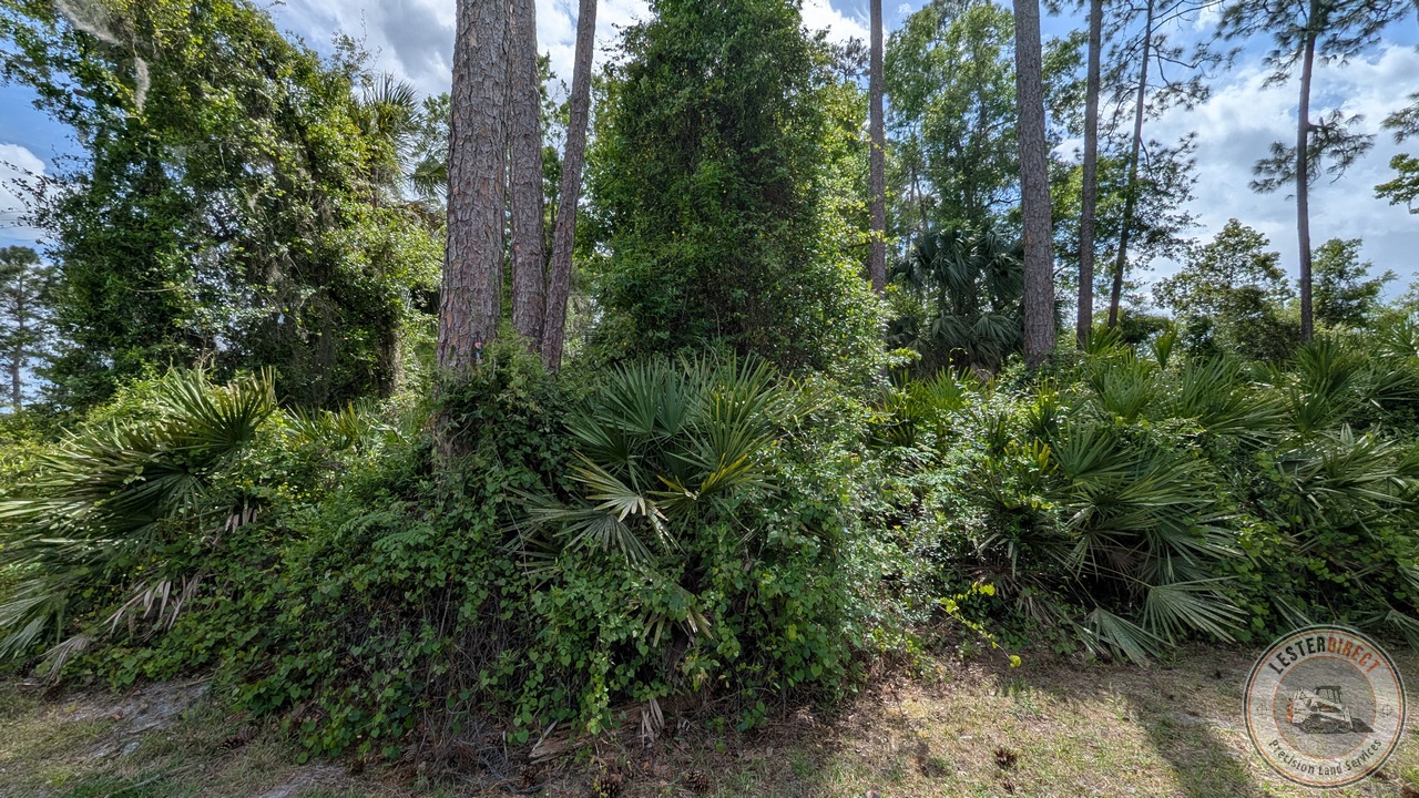 CS-02 Stage 1: Raw Site (Native Pasture Clearing)