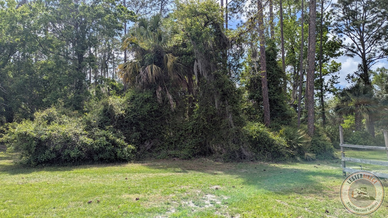 CS-03 Stage 1: Raw Site (Native Pasture Clearing)