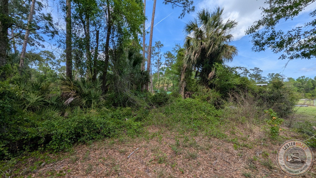 CS-05 Stage 1: Raw Site (Native Pasture Clearing)